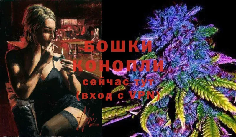 Шишки марихуана Bruce Banner  Лиски 